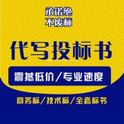 安康招投标标书代写，双板科技专业代写一对一服务